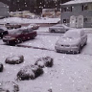 Meet your Posher, Beverly